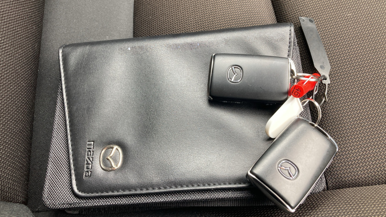 Mazda 3 2.0 e-Skyactiv G MHEV Sport Lux 5dr Petrol Hatchback